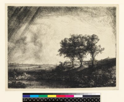 The Three Trees by Rembrandt van Rijn